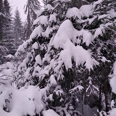 Appartement катерина