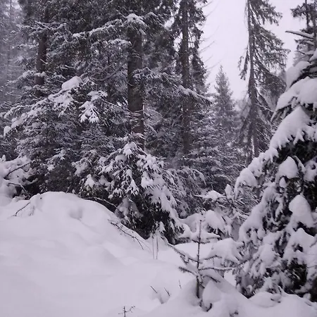 Appartement катерина Rozhanka Nizhnyaya