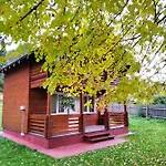 катерина *